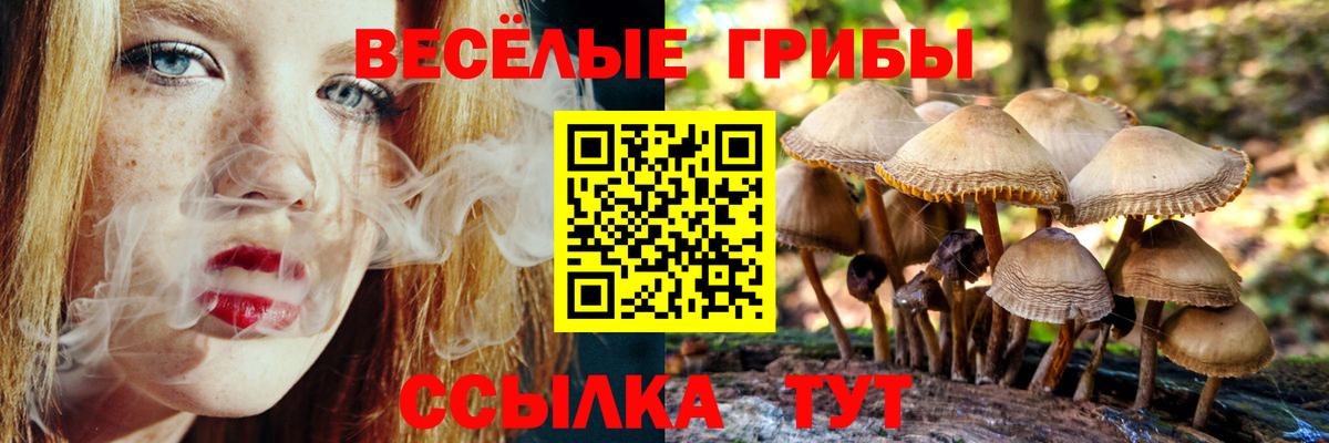 Галлюциногенные грибы GOLDEN TEACHER  Вход с VPN  Дивногорск  Галлюциногенные грибы Psilocybine cubensis 